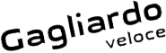 I.T.A.Ref.24.00.01「ガリアルド」ヴェローチェのロゴ画像